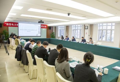 盤古智庫與國網黨校 國網領導科學研究院 聯合舉辦新型電力系統構建研討會