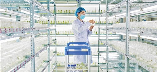 經(jīng)濟日報多媒體數(shù)字報刊